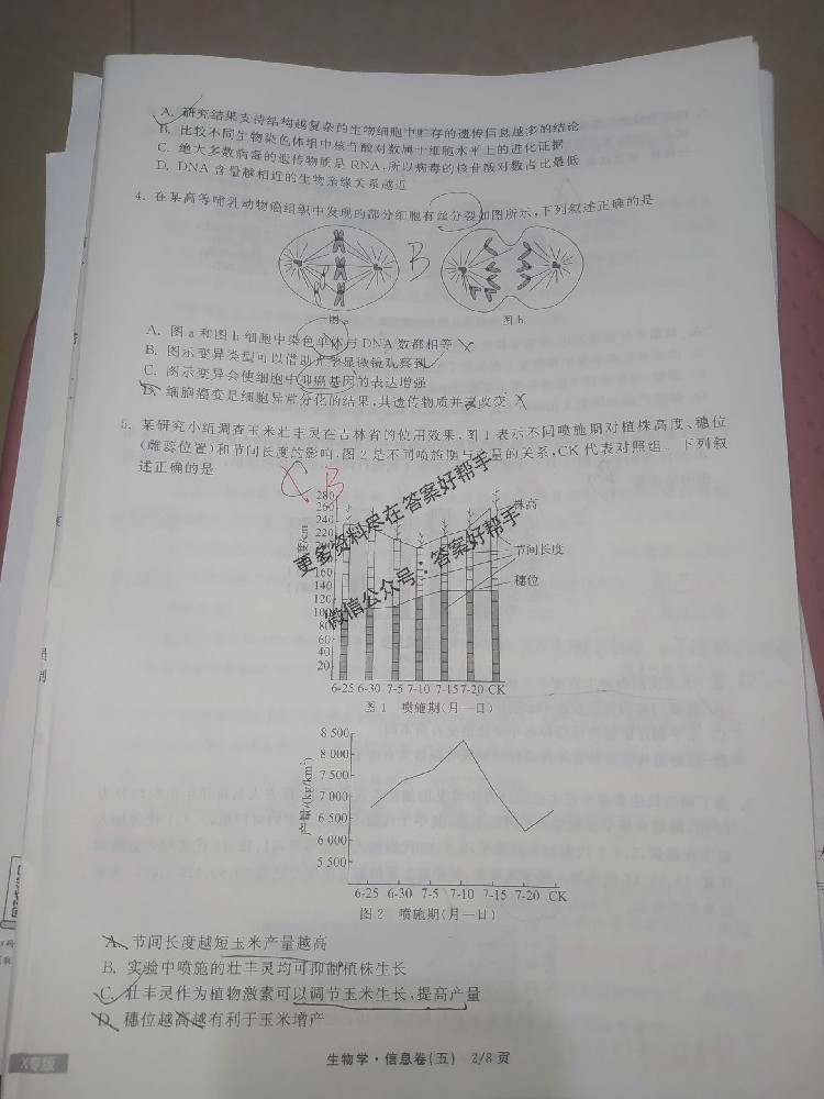 22.jpg