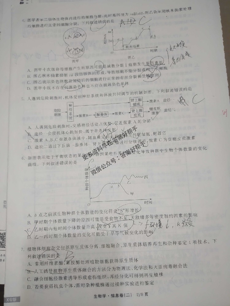 30.jpg